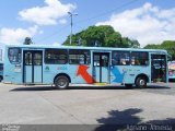 Terra Luz Transportes 41006 na cidade de Fortaleza, Ceará, Brasil, por Adriano  Almeida dos Santos. Número da foto: #2896758.