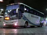 Transbrasiliana Transportes e Turismo 5733 na cidade de Belo Horizonte, Minas Gerais, Brasil, por Adão Raimundo Marcelino. Número da foto: #2898904.