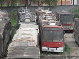 Sucata e Desmanches 4 1587 na cidade de São Paulo, São Paulo, Brasil, por Caio  Takeda. Número da foto: #2898563.