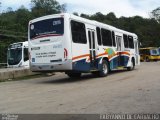 Auto Viação Salineira RJ 111.029 na cidade de Duque de Caxias, Rio de Janeiro, Brasil, por Fabiano Magalhaes. Número da foto: #2972555.