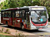 Expresso Gardenia 4185 na cidade de Poços de Caldas, Minas Gerais, Brasil, por Felipe Vitor Paixão Vieira. Número da foto: #2974497.