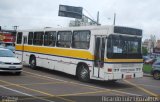 Transric Transportes 235 na cidade de Curitiba, Paraná, Brasil, por Ricardo Luiz. Número da foto: #2974339.