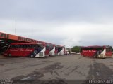 Expresso São Luiz 7740 na cidade de Primavera do Leste, Mato Grosso, Brasil, por Stefano  Rodrigues dos Santos. Número da foto: #2976552.