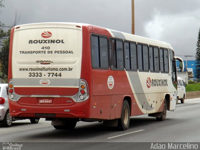 Rouxinol 410 na cidade de Belo Horizonte, Minas Gerais, Brasil, por Adão Raimundo Marcelino. Número da foto: #2980744.