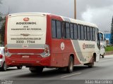 Rouxinol 410 na cidade de Belo Horizonte, Minas Gerais, Brasil, por Adão Raimundo Marcelino. Número da foto: #2980744.