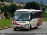Rouxinol 082 na cidade de Belo Horizonte, Minas Gerais, Brasil, por Adão Raimundo Marcelino. Número da foto: #2980645.