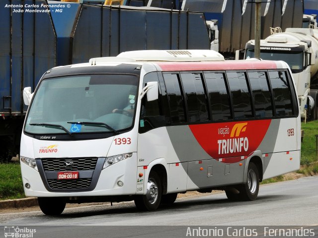 Viação Triunfo 1393 na cidade de João Monlevade, Minas Gerais, Brasil, por Antonio Carlos Fernandes. ID da foto: 2990118.