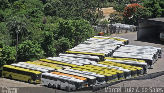 Empresa Gontijo de Transportes CENTRAL BH na cidade de Belo Horizonte, Minas Gerais, Brasil, por Marcel  Sales. Número da foto: #2989259.