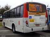 Viação Andorinha Rio D59225 na cidade de Rio de Janeiro, Rio de Janeiro, Brasil, por Renan Vieira. Número da foto: #2989825.
