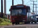 Prefeitura Municipal de Ivaiporã 172 na cidade de Ivaiporã, Paraná, Brasil, por Reinaldo Penha. Número da foto: #2993274.
