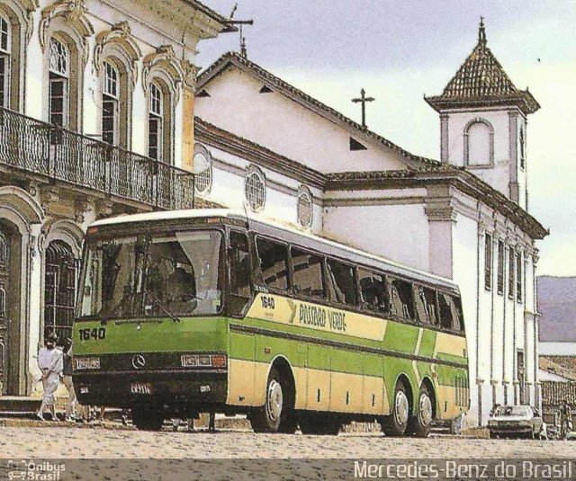 Pássaro Verde 1640 na cidade de , por Alexandre M.  Sanches. Número da foto: #2995678.