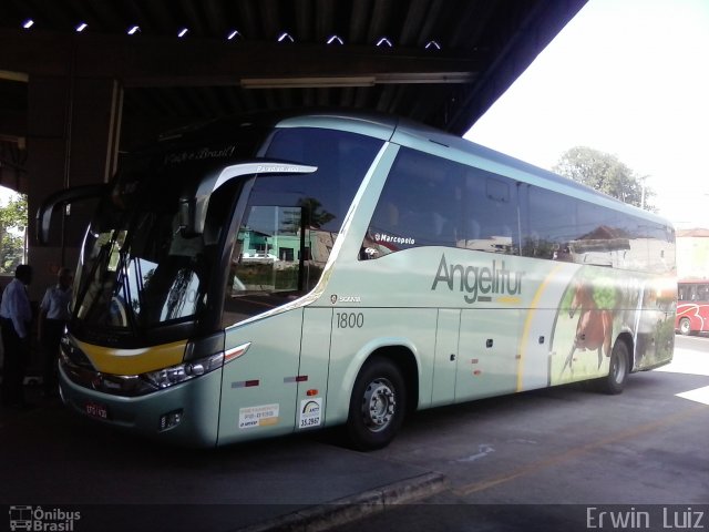 Expresso Angelitur 1800 na cidade de Ribeirão Preto, São Paulo, Brasil, por Erwin  Luiz. Número da foto: #2996538.