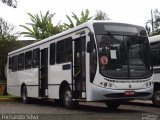 Ônibus Particulares  na cidade de Teresópolis, Rio de Janeiro, Brasil, por Fernando Silva. Número da foto: #:id.