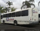 Cibin Transportes 2951 na cidade de Serra, Espírito Santo, Brasil, por Pedro Henrique Ferreira. ID da foto: :id.
