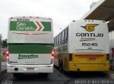 Empresa Gontijo de Transportes 15245 na cidade de Belo Horizonte, Minas Gerais, Brasil, por Maurício Nascimento. Número da foto: #3002287.