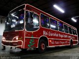 Rondônia Transportes 0109081 na cidade de Manaus, Amazonas, Brasil, por Gabriel Pinheiro. Número da foto: #3004407.