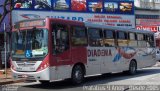 Benfica Diadema 11004 na cidade de Diadema, São Paulo, Brasil, por Cristiano Soares da Silva. Número da foto: #3005566.