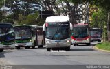 Viação Nasser 210115 na cidade de Campinas, São Paulo, Brasil, por Willian Sousa. Número da foto: #3011857.