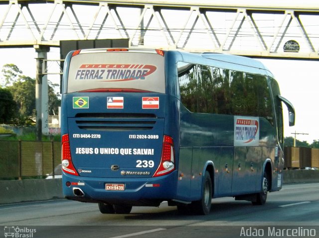 Viação Ferraz Trindade 239 na cidade de Belo Horizonte, Minas Gerais, Brasil, por Adão Raimundo Marcelino. Número da foto: #3014572.