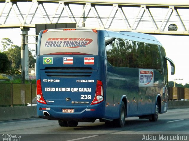 Viação Ferraz Trindade 239 na cidade de Belo Horizonte, Minas Gerais, Brasil, por Adão Raimundo Marcelino. ID da foto: 3014572.