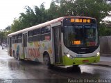 Julio Simões > CS Brasil - JSL 110667 na cidade de Itaquaquecetuba, São Paulo, Brasil, por Paulo de Oliveira Ribeiro. Número da foto: #3013046.
