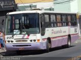 Passarela Turismo 220 na cidade de Belo Horizonte, Minas Gerais, Brasil, por Gabriel Oliveira. Número da foto: #3017039.