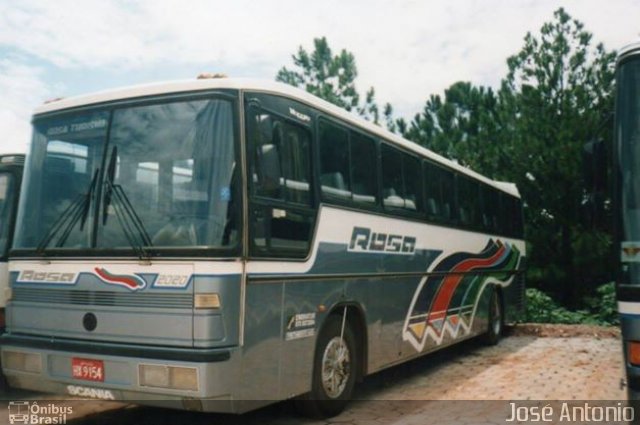 Rosa Turismo 2020 na cidade de Tatuí, São Paulo, Brasil, por José Antonio. Número da foto: #2955851.