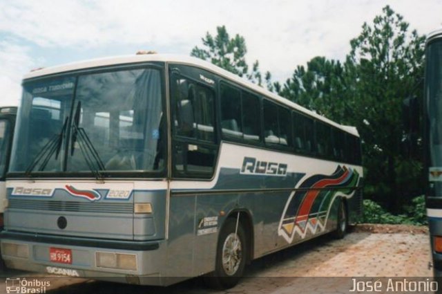 Rosa Turismo 2020 na cidade de Tatuí, São Paulo, Brasil, por José Antonio. ID da foto: 2955851.