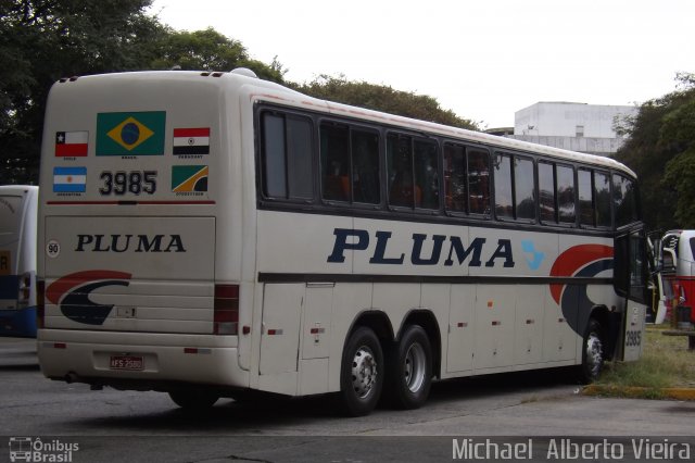 Pluma Conforto e Turismo 3985 na cidade de São Paulo, São Paulo, Brasil, por Michael  Alberto Vieira. Número da foto: #2955495.