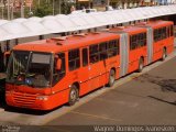 Viação Tamandaré KE846 na cidade de Curitiba, Paraná, Brasil, por Wagner Domingos Ivanesken. Número da foto: #2955751.
