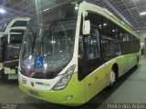 Marcopolo  na cidade de Rio de Janeiro, Rio de Janeiro, Brasil, por Pedro dos Anjos Lino dos Santos. Número da foto: #:id.