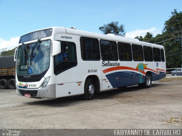 Auto Viação Salineira RJ 111.001 na cidade de Duque de Caxias, Rio de Janeiro, Brasil, por Fabiano Magalhaes. Número da foto: #2958258.