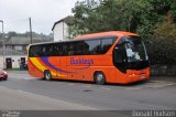 Coaches Buckleys  na cidade de Totnes, Devon, Inglaterra, por Donald Hudson. ID da foto: :id.