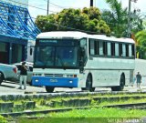 Ônibus Particulares  na cidade de Aracaju, Sergipe, Brasil, por Sergio Marques . Número da foto: #2959793.