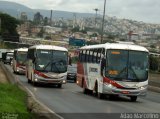 Rouxinol 373 na cidade de Belo Horizonte, Minas Gerais, Brasil, por Adão Raimundo Marcelino. ID da foto: :id.