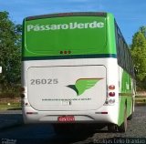 Pássaro Verde 26025 na cidade de Ouro Preto, Minas Gerais, Brasil, por Douglas Célio Brandao. Número da foto: #:id.
