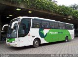 Pássaro Verde 29020 na cidade de Belo Horizonte, Minas Gerais, Brasil, por Maurício Nascimento. Número da foto: #:id.