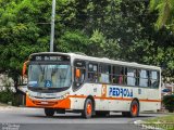 Empresa Pedrosa 117 na cidade de Recife, Pernambuco, Brasil, por João Bosco Melo Farias Severo de Almeida. Número da foto: #2966816.