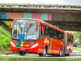 Transportadora Globo 449 na cidade de Recife, Pernambuco, Brasil, por João Bosco Melo Farias Severo de Almeida. Número da foto: #2966554.
