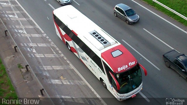 Beija Flor Turismo 3100 na cidade de Osasco, São Paulo, Brasil, por Ronnie Damião. Número da foto: #2968728.