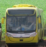 Viação Pioneira 225983 na cidade de Cascavel, Paraná, Brasil, por Felipe  Dn. Número da foto: #:id.