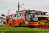 Auto Viação Redentor HA249 na cidade de Curitiba, Paraná, Brasil, por Elias Roberto Alves. Número da foto: #:id.