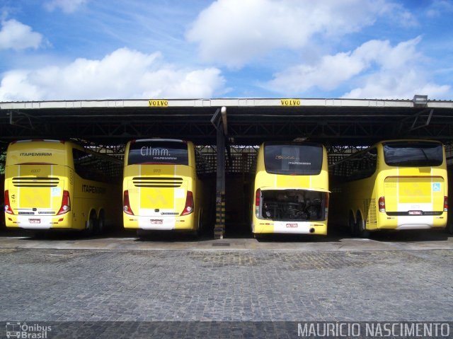 Viação Itapemirim 48111 na cidade de Belo Horizonte, Minas Gerais, Brasil, por Maurício Nascimento. Número da foto: #2340909.
