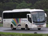 Cacique Transportes 4204 na cidade de Salvador, Bahia, Brasil, por Felipe Pessoa de Albuquerque. Número da foto: #:id.