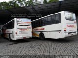 Ozelame Transportes 2134 na cidade de Caxias do Sul, Rio Grande do Sul, Brasil, por Clederson Schmitt. Número da foto: #:id.