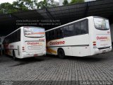 Ozelame Transportes 2134 na cidade de Caxias do Sul, Rio Grande do Sul, Brasil, por Clederson Schmitt. ID da foto: :id.