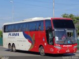 Pluma Conforto e Turismo 7238 na cidade de São Paulo, São Paulo, Brasil, por Sandro Alves. Número da foto: #2360773.