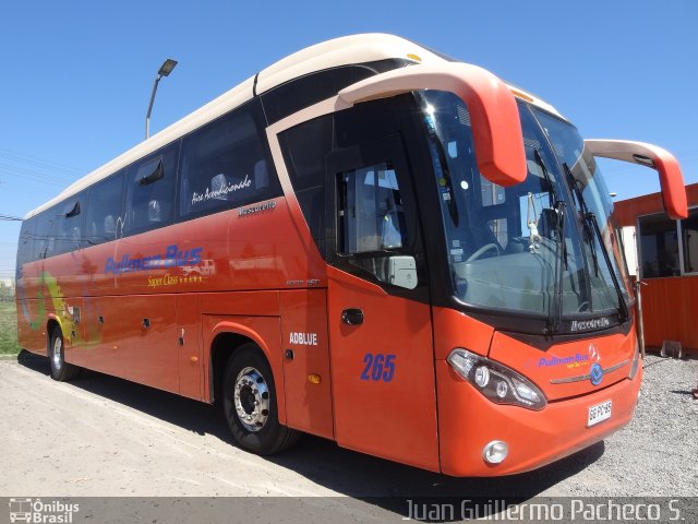 Pullman Bus 265 na cidade de , por Juan Guillermo Pacheco S.. Número da foto: #2364101.