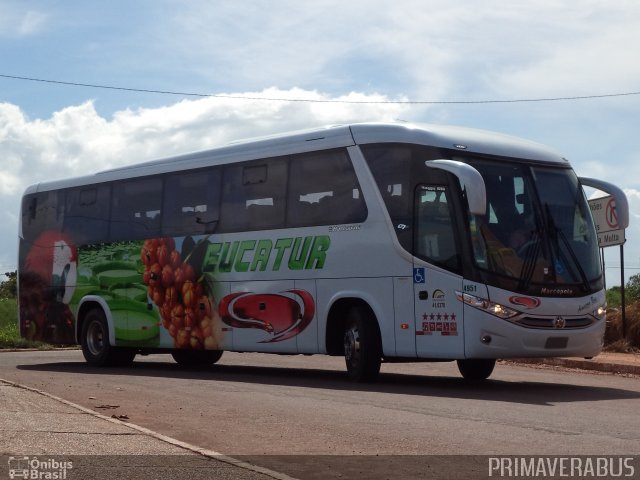 Eucatur - Empresa União Cascavel de Transportes e Turismo 4951 na cidade de Rondonópolis, Mato Grosso, Brasil, por Alexandre Rodrigo. ID da foto: 2365075.