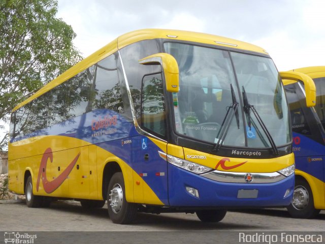 Coletivo Transportes  na cidade de Caruaru, Pernambuco, Brasil, por Rodrigo Fonseca. Número da foto: #2367944.